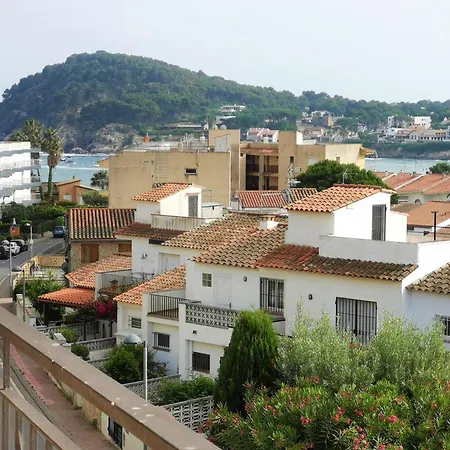 Royal D322 Palamós